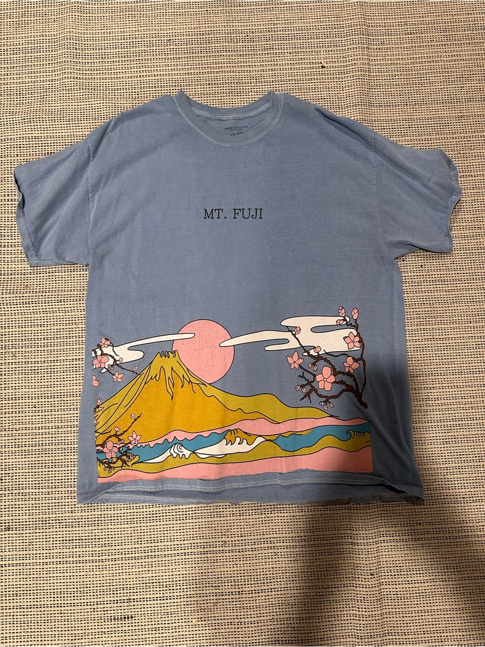 Urban Outfitters Light Blue "Mt. Fuji" Graphic Tee